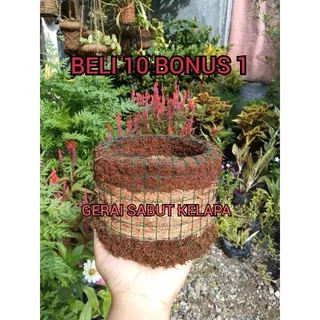 PIT PENYUBUR ANGGREK MOSS HITAM