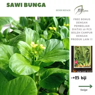 Benih sawi BUNGA -+20 BIJI Tanaman bibit sayuran hidroponik PARMA 233 merk new day seed seed repack MURAH