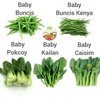 Baby Buncis / Baby Buncis Kenya / Baby kol / Baby Pakcoy  - Pack
