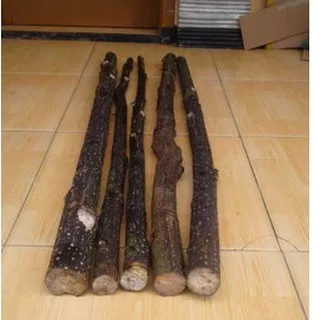 Tongkat asli kayu Lemo pengusir ular dan kalajengking 1 buah 100 cm