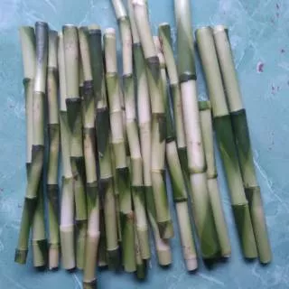 Bambu hoki