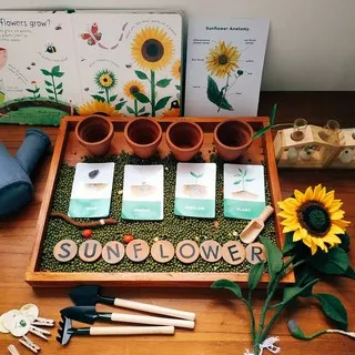 Mainan edukasi Sunflower sensory play set nature plants belajar berkebun anak pretend play