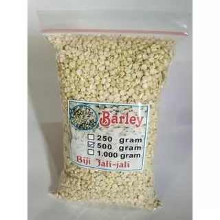 Biji jali jali aceh lokal pearl barley hanjeli