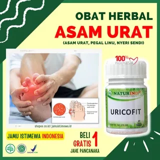 Obat Asam Urat Tinggi Penurun Kadar Asam Urat Tinggi Herbal Asam Urat Ampuh Alami URICOFIT NATURINDO Obat Asam Urat Paling Ampuh Obat Nyeri Sendi Obat Pegal Linu Obat Kaki Bengkak Obat Kolesterol dan Asam Urat