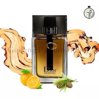Christian Dior Homme for Men Parfum 100 ml