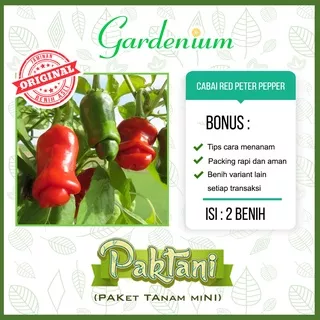 2 Benih Cabai Red Peter Pepper Tanaman Cabe Hias Ornamental Paktani