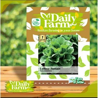 Daily Farm - Benih Bibit Lettuce Paris Island Cos - Bibit Selada