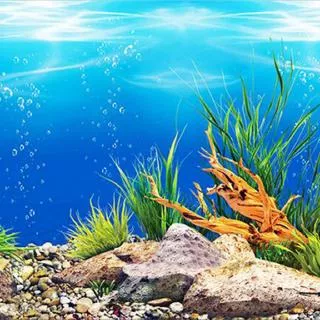 Aquarium background paper HD picture 3d three-dimensional fish tank wallpaper background painting double sided aquarium decorative fish tank sticker?40*82cm?