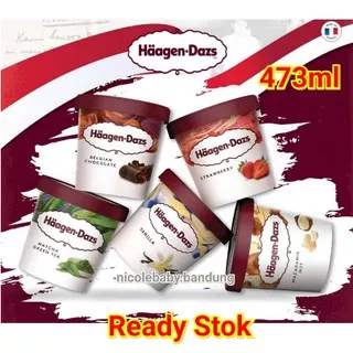 Haagen Dazs Ice Cream 473 ml  / Ice Cream KHUSUS GOJEK/GRAB AREA BANDUNG