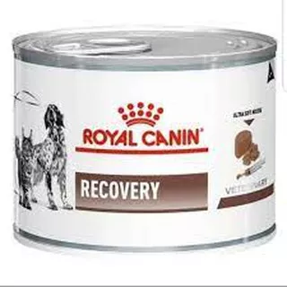 ROYAL CANIN RECOVERY 195GR | ROYAL CANIN KALENG RECOVERY