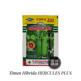 (20gr) bibit benih sayuran buah TIMUN HERCULES PLUS F1 HIBRIDA 20 gram Cap Kapal Terbang- Chia tai