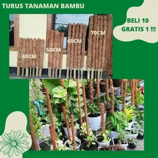 Turus Penyangga Tanaman - Turus Tanaman Bambu - Beli 10 Bonus 1