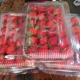 Buah Strawberry Segar