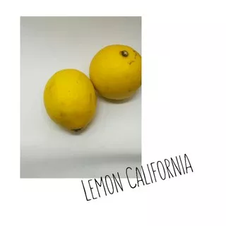 lemon california lokal 500gram