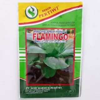 Sawi flamingo 10 gr sawi sendok/sawi daging hibrida F1 pertiwi