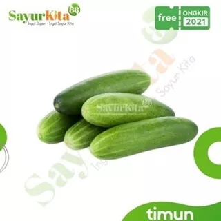 Timun Lokal / Cucumber / sayuran ketimun super fresh - 1/2 Kg 1 Kg