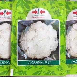 Aquina 10gr Benih Kembang Kol / Caultflower (Exp Mei 2023)