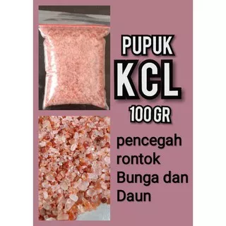 pupuk KCL mahkota repack 100 gr pupuk tanaman pupuk bunga pupuk buah