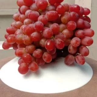 buah anggur merah 1kg|nuri fruits|buah segar bandung|anggur merah|anggur merah segar