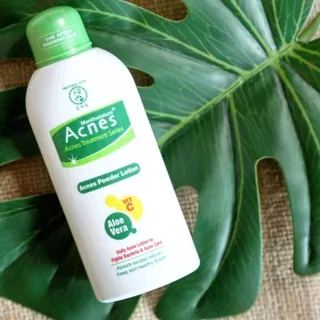 Acnes powder lotion