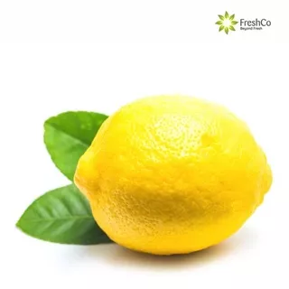 FRESHCO Jeruk Lemon [ 1 Kg ]