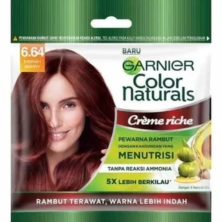 garnier colour naturals creme riche (6.64)