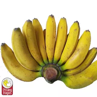 Pisang Raja Bulu