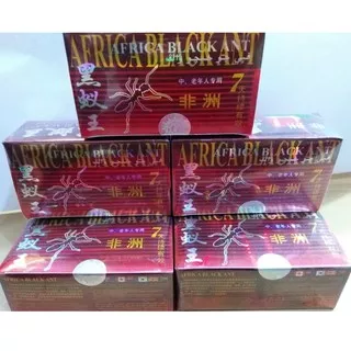 SEMUT LOKAL PREMIUM, SEMUT ISI 15 ASLI