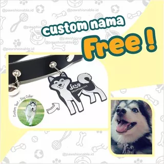 K30 - Kalung Custom Nama Anjing Husky Alaskan Malamute Pomsky Hewan PU Leather