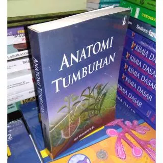 Anatomi tumbuhan