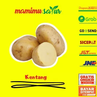 KENTANG SUPER KENTANG DIENG GRADE AB KENTANG BESAR MURAH SAYUR SAYURAN SEGAR 1 KG