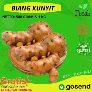 PALA KUNYIT SUPER FRESH 500 GRAM BIANG KUNYIT KUNIR SEGAR STORE ONLINE TERMURAH DENPASAR BALI