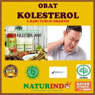 Obat Penurun Kolestrol Kolesterol Tinggi 250 Asam Urat Obat Herbal Penurun Kolestrol Jahat Darah Tinggi Obat Penghancur Lemak Darah