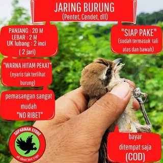 JARING BURUNG PENTET JARING MANUK PENTET JARING BURUNG CENDET JARING MANUK CENDET JARING BURUNG TOET