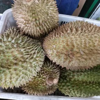 Durian Monthong Utuh Palu Asli PROMO TERBATAS -+ 3Kg /pics