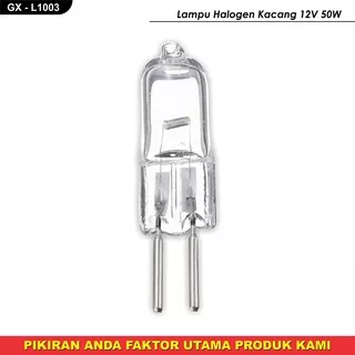 Lampu halogen kacang 12v 50w//lampu meja hias//L1003