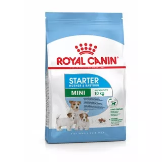 Royal Canin Mini Starter 1 KG/ Makanan Anjing