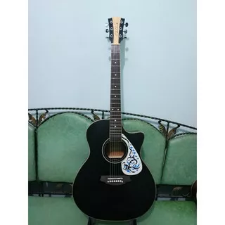 Gitar Akustik Elektrik Merk Cole Clark Warna HItam Doff Black Doff Eq 7545 Murah Jakarta