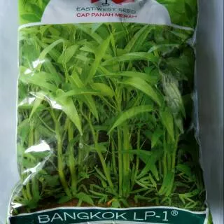 Kangkung Bangkok 1 kg