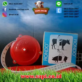 Pita Ukur Sapi Dan Babi Rondo