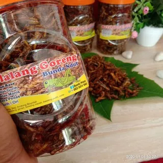 belalang goreng kecil