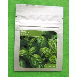 Benih Basil Genovese Import Pack