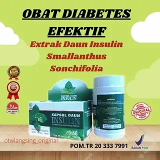 OBAT DIABETES HERBAL ANTI DIABETES GULA DARAH KENCING MANIS KAPSUL EKSTRAK DAUN INSULIN BPOM COD