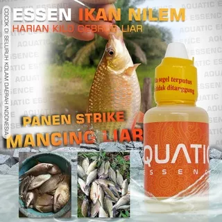 Essen Ikan Nilem Liar Kilo Gebrus Harian Aquatic Essence Oplosan Umpan Pancing Terbaik Paling Murah