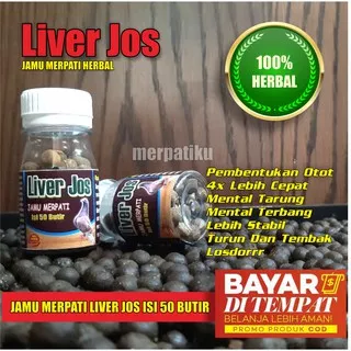 JAMU MERPATI KOLONG DAN BALAP / JAMU MERPATI KOLONG / JAMU MERPATI BALAP / LIVER JOS 50 BUTIR