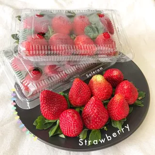 Buah Strawberry | strawberri | berry | 1 pack