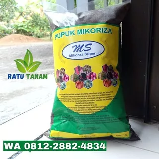 PUPUK HAYATI MIKORIZA, Pupuk Mikoriza Untuk Pertumbuhan, Penyubur Tanah dan Produktifitas Tanaman