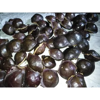 JENGKOL 1 kg