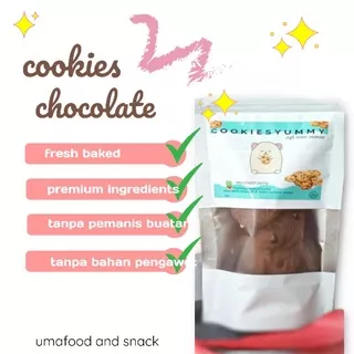 KUE KERING COKELAT COOKIES CHOCO CHIP KEMASAN 100 gram