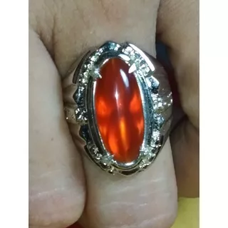 cincin batu akik raflesia bengkulu asli,cincin batu akik garansi asli,cincin akik,batu akik,batu alam,natural,fashion pria,aksesories pria